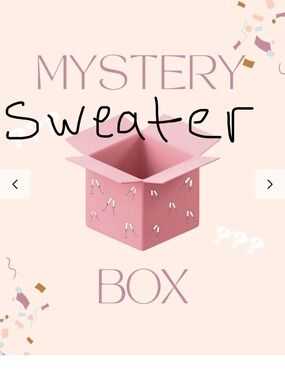 Mystery Sweater Box - Women's mix size NWT  and like new